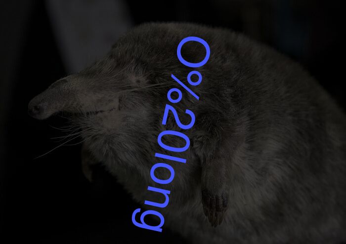 O long